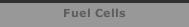 Fuel Cells